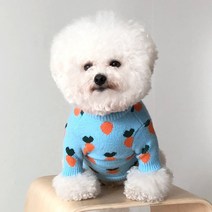 바이담수미 강아지 당근 니트, 블루