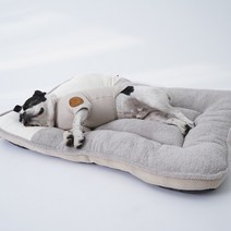 반려동물 올레뜨 사각방석, GRAY