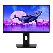 인터픽셀 68.5cm 4K UHD IPS USB C타입 모니터, IPU2710(일반)