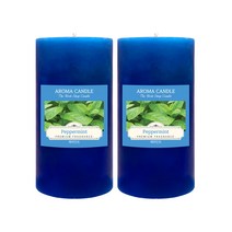 더허브샵 아로마 향초 570g, 2개, 페퍼민트