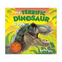 My Terrific Dinosaur Book, DK