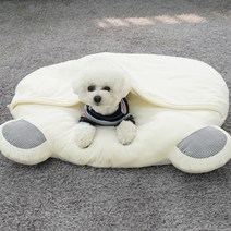 레드퍼피 반려동물 몰랑몰랑 곰돌이 펫쿠션, 크림아이보리