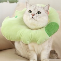 요기쏘 강아지 고양이 코뿔소 넥카라, 그린