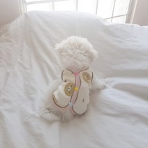 그루밍독 반려동물 실내복 곰돌이 조끼, 아이보리