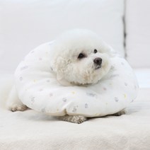 리토가토 반려동물 일체형 쿠션 넥카라 달빛나라 XL, 290g, 1개