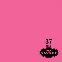 세비지 종이 롤 배경지 HALF, 37-1253(37 Tulip), 1개
