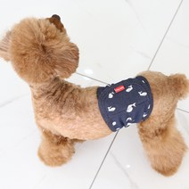 레드퍼피 반려동물 젠틀매너벨트 블루, 1개, 소형