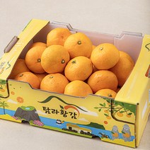 탐라황감 당도선별 10brix 하우스감귤, 2kg(로열과), 1개 상품 이미지