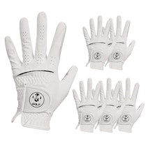 맥시브 남성용 2022 일반형 반양피 골프장갑 왼손용 6p, 화이트