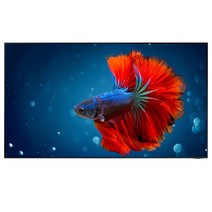 삼성전자 8K Neo QLED TV, KQ65QNB800FXKR, 방문설치, 벽걸이형, 163cm(65인치)
