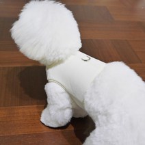 디자인사노 반려동물 바디핏 이지핏 코듀로이 모던 하네스, 아이보리