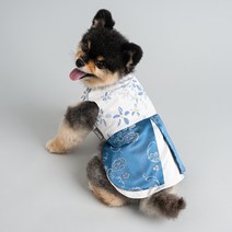 도그아이 강아지옷 애견의류 꽃한복, 블루