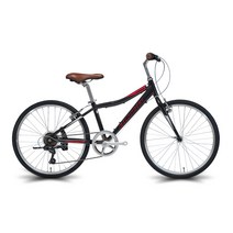 알톤스포츠 2022 퓨리어스 24 오리지널 하이브리드 자전거 미조립, 블랙, 153cm