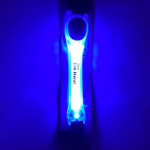 강아지 산책용품 야광목줄 커넥션 LED 나이트 목걸이 밴드, 블루, 1개