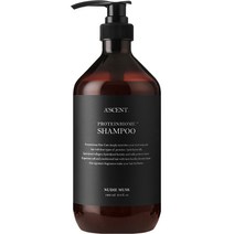 에이센트 프로틴바이옴 샴푸 누디머스크, 1000ml, 1개
