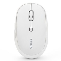 로이체 2.4GHz 저소음 옵티컬 6버튼 무선 마우스, 화이트, RX-700