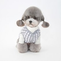 카르노 반려동물 리버서블 양면조끼, 그레이