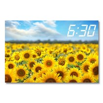 홈마인 캔버스 프린팅 액자 시리즈 LED 시계 해바라기 풍경 600 x 400 mm, 16