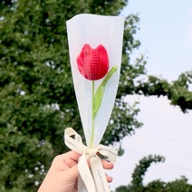 모리앤 한송이 튤립 니트꽃다발, 레드튤립, 1개
