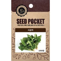 월드가드닝 정원 텃밭 좋은 씨앗 시금치, 1개