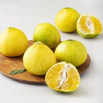 감귤상회 당도선별 꼬마 황금향, 1kg(4~7입), 1팩