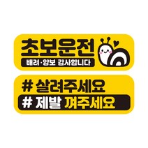 제제데코 초보운전 자동차 탈부착 자석 고휘도 반사 스티커 시트지 미디엄 E230 EC020 + EC048 세트, 혼합색상, 2개입