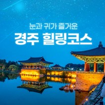 [경주] 경북e누리 경주 힐링코스 동궁과월
