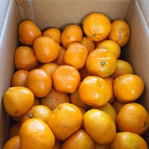 산지직송 노지 제주 감귤 쥬스용 10kg
