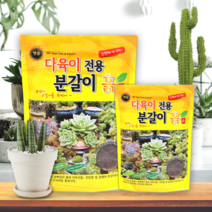 [신규출시] 발암물질 라돈제로 다육이 전용 분갈이 흙 3L 6L
