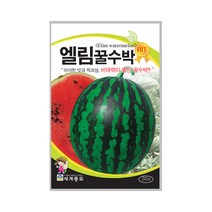 엘림꿀수박 30립 수박씨앗 비대력 좋은 단타원형 수박, 단품