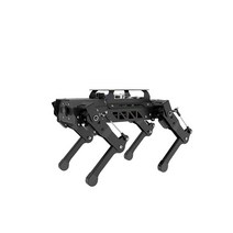 4족보행로봇 AI 비전인식 라즈베리파이 4B ROS Puppy 지능형 프로그래밍, 라즈베리파이 4B/4G, 프로페셔널 개발