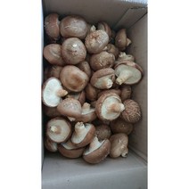 버섯1번지 장흥 무농약 국내산 못난이 표고버섯 2kg 실속형
