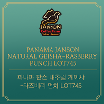 (커피생두) 135 파나마 잔슨 내추럴 게이샤-라즈베리 펀치 LOT745 1kg