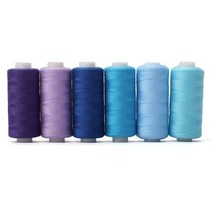 바느질 스레드 키트 6Roll/세트 DIY 재봉 용품 자수 기계 액세서리 용 스레드 홈 재봉 도구, 푸른