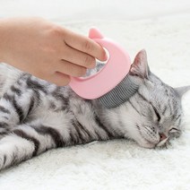 고양이 힐링 브러쉬 마사지 그루머 죽은털 제거, 1고양이브러쉬-블루