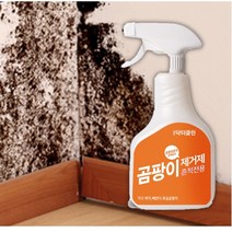 벽지 곰팡이 제거법 얼룩 제거 천정 사무실 방 제거제 냄새 초강력 가구 주택 누수 락스, 본품
