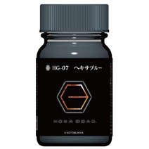 gaianotes 가이아노츠 HG-07 헥사기어 컬러 헥사 블루, 단일