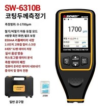디지털 점도계 정밀점도 점성 포인터 페인트 테스터 Shendawei SW6310A 코팅 두께 게이지 페인트 필름 미터 0.1um 아연 도금층 검출기 페인트 표면 두께 검출기, SW-6310B 리튬 배터리 음성 저장 장치