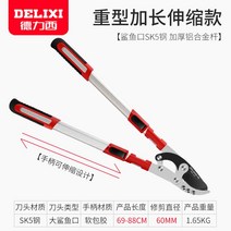 Delixi 877 고강도 양손 전지가위 원예 탱자가위, 3, 단일사이즈