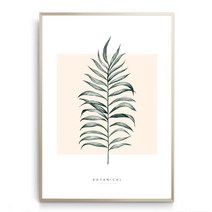 민트마켓 보타니컬A, 블랙