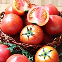 푸르젠 전남 장흥 이도영님의 무농약 완숙토마토 3kg (3~4번), 단품없음