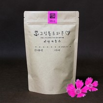 기타 바보사랑[파라솔]그림봉투화분 패랭이꽃 키우기