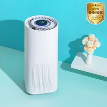 에어레스트 공기청정기 20평형 AP650, AP650[Y755], AP650(Y755)