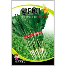 향단이 30g / 열무 씨앗 종자 텃밭키우기 채소키우기