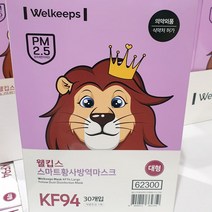 30 보라사자 웰킵스 황사 마스크 KF94 대형 30입, WELKEEPS_30p