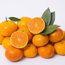 초록자연 제주 가정용 레드향 5kg28-30과, 1개, 본 상품 선택하기