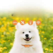 강아지 탐지기 목줄 GPS 위치추적기 산책 목걸이 애견, 4G 오렌지