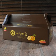옛스런식품 전남 나주 배즙 130ml × 50팩, 상세 설명 참조, 단일옵션
