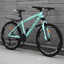 팻바이크 특이한 출퇴근 레트로 자전거 MTB 산악, 21speed, Spoke Bianchi