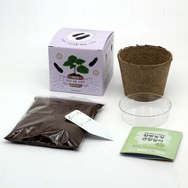 강낭콩 옥수수 가지 당근 고추 상추 모종 키우기세트